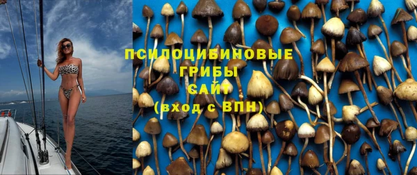 а пвп мука Валдай