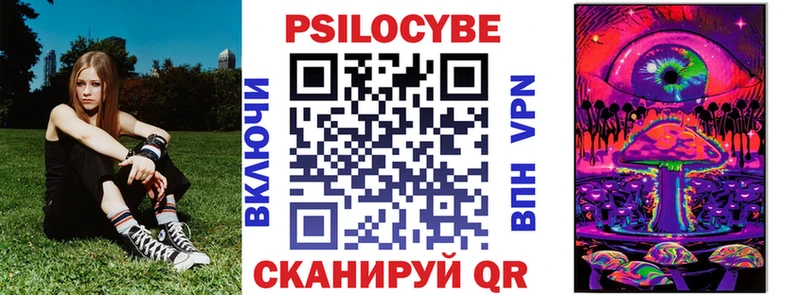 Псилоцибиновые грибы Psilocybe  цены наркотик  mega tor  Калтан 